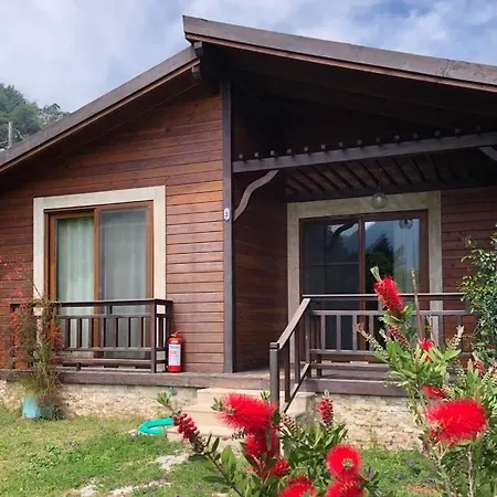 Holiday park Bilge Cirali