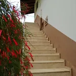Bilge * Çıralı