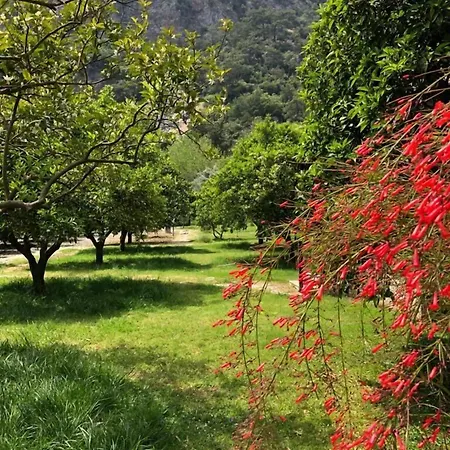 База отдыха Bilge Чирали