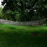 Bilge * Çıralı