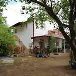 Bilge * Çıralı